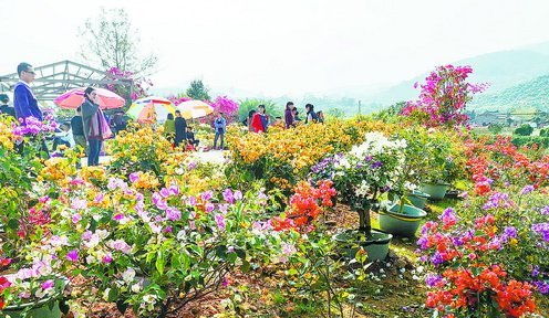 厦门加大扶持力度，力促休闲农业与乡村旅游成为旅游市场新热点