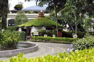 休闲农业的发展路径 从零基础到全链条优化