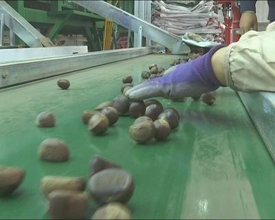 且末县考察团赴遵化市考察休闲农业，深化区域合作共促乡村振兴