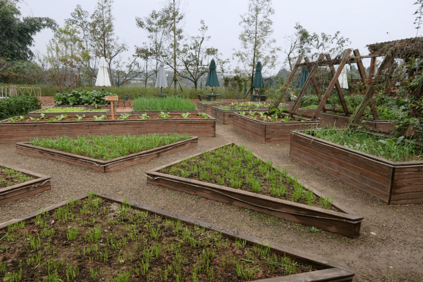 投资少回收快的小农场 休闲农业的经营之道