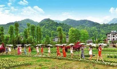 休闲农业 都市人的田园梦想与乡村发展新路径