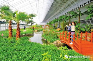 休闲农业示范园 争取政府支持的关键路径与重点问题解决