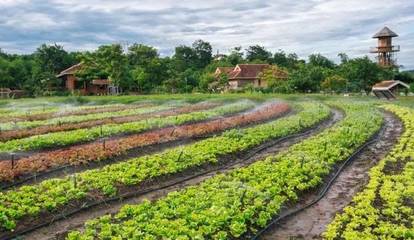 休闲农庄如何转型升级为农业旅游景区？