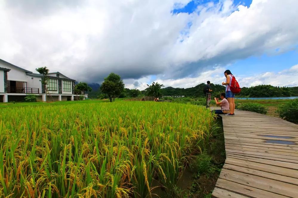 乡村振兴新引擎 休闲农业的九大发展前景