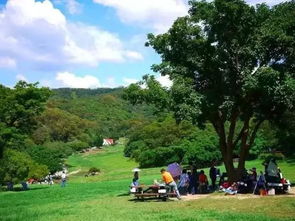 台湾飞牛牧场 休闲农业如何实现一二三产业融合的典范