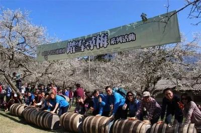 梅子梦工厂 十亩土地，二十个人，亿万产值——休闲农业的典范之作