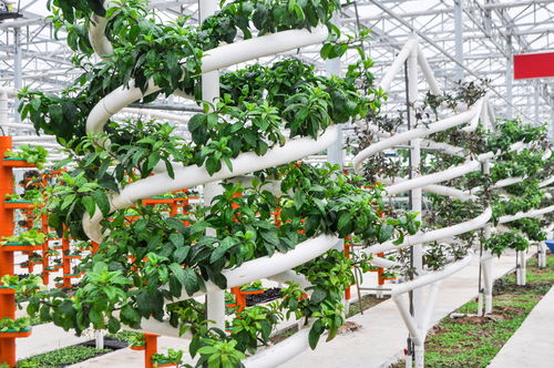 盐城亲子游好去处 探秘奇幻现代农业，畅享休闲观光新体验