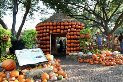 全球休闲农业九大发展模式探析