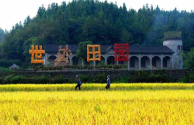 2019年乡村振兴战略中乡村产业的几大工作要点——聚焦休闲农业