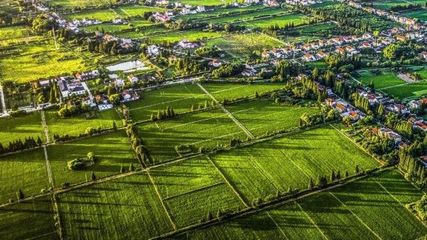 长三角新一批国家级休闲农业重点县名单出炉 绘就乡村振兴新画卷