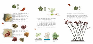 休闲农业研究所荣获2017首届中国·南京休闲农业创意大赛产品创意类金奖